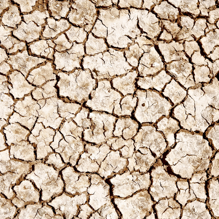 drought cracked land