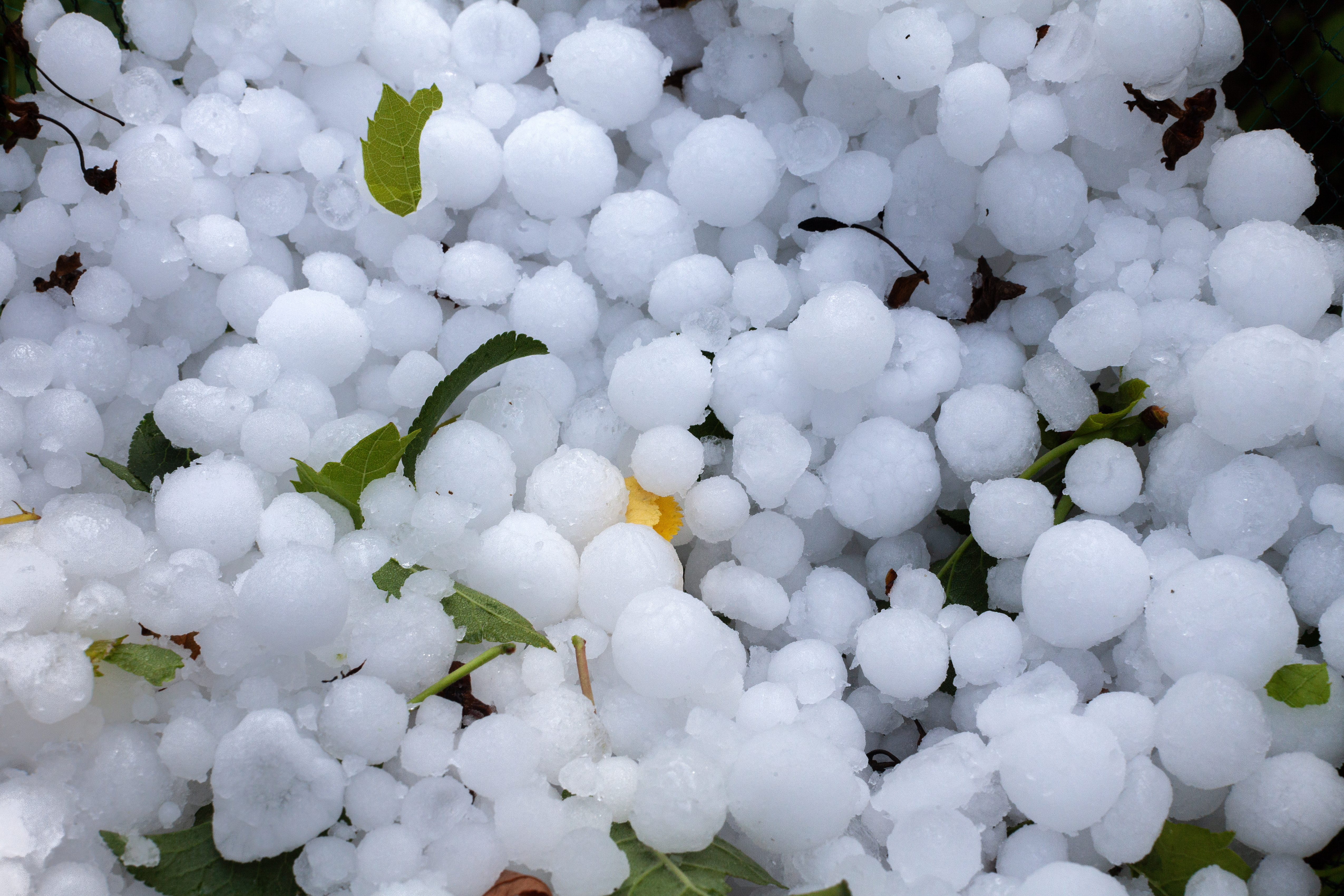 Hailstones lying on the ground