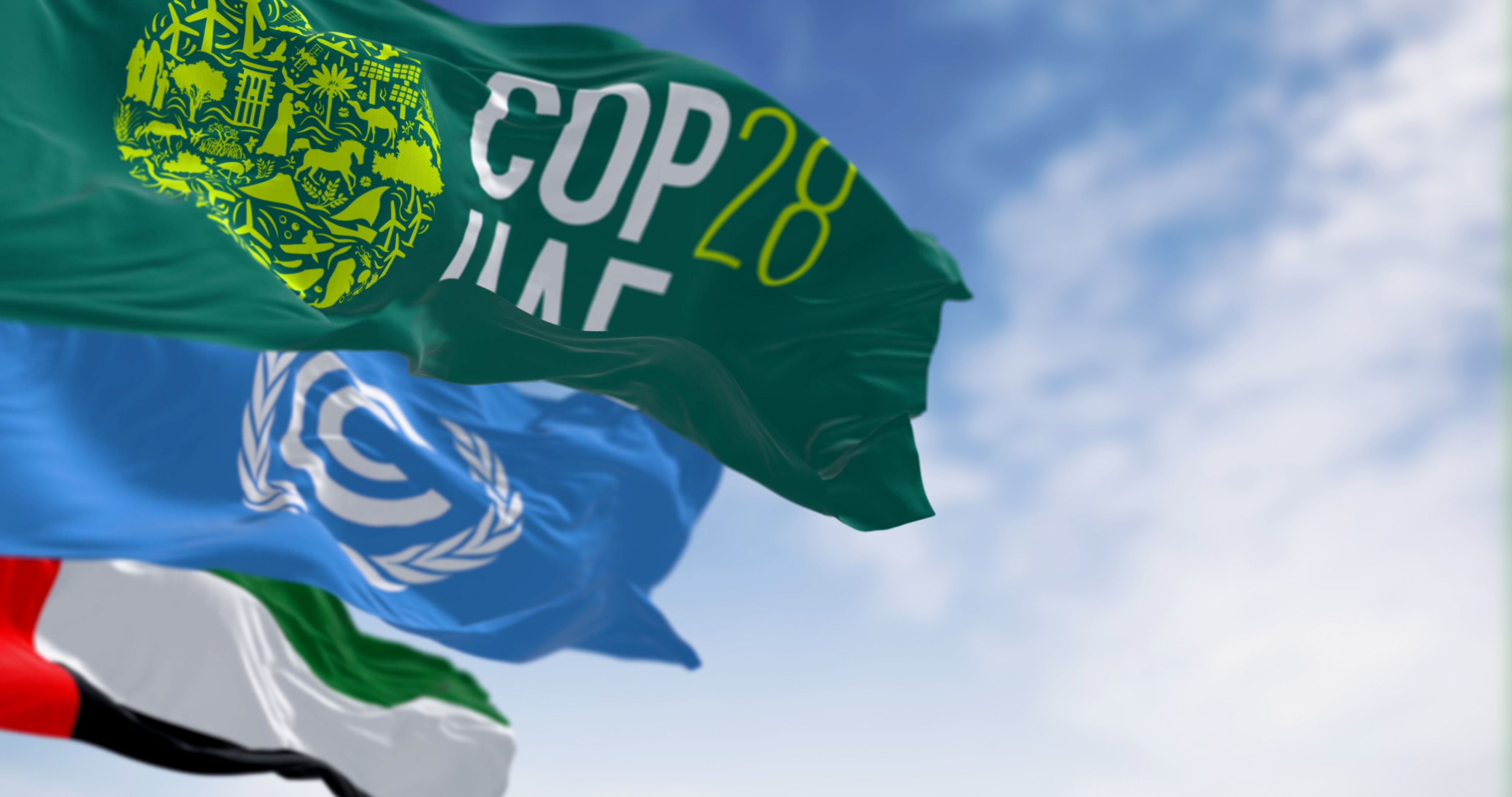 COP28 UAE flag