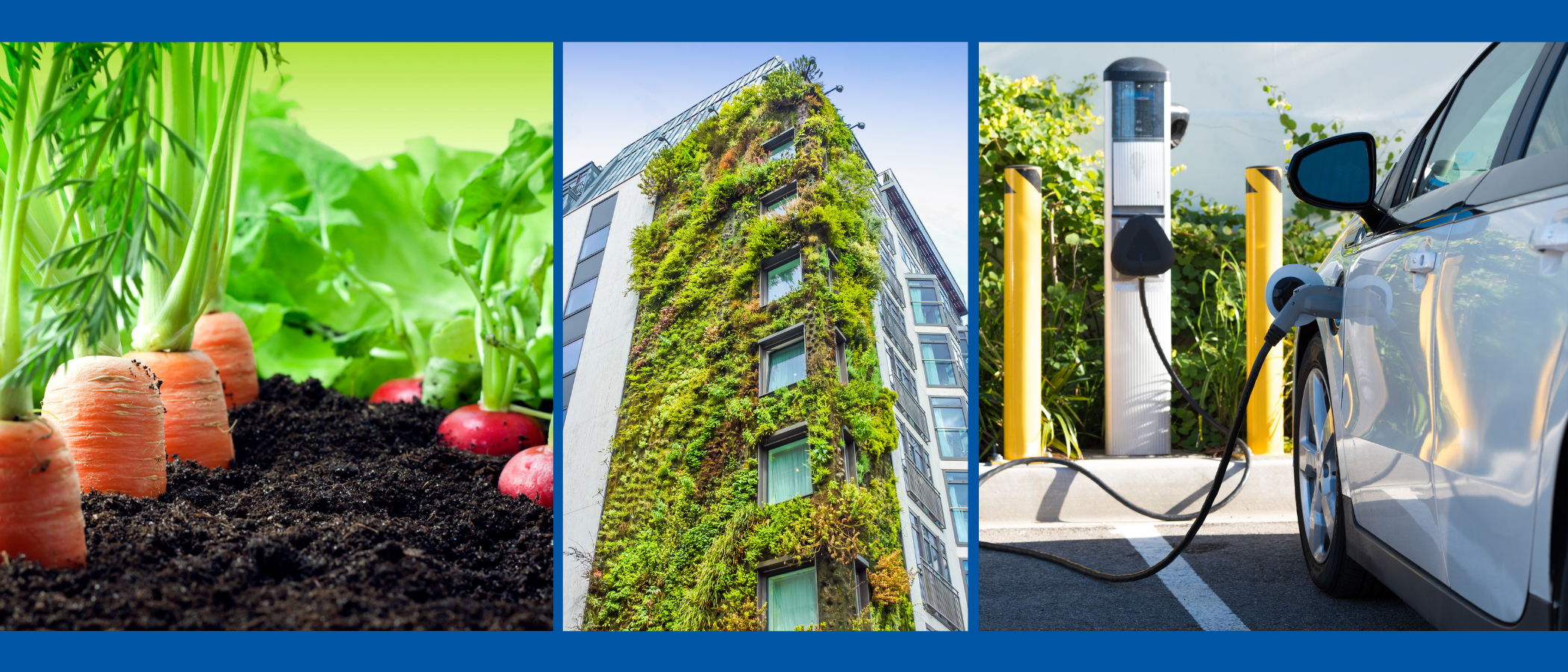 a collage of growing veg, a green building from foliage and an electric car