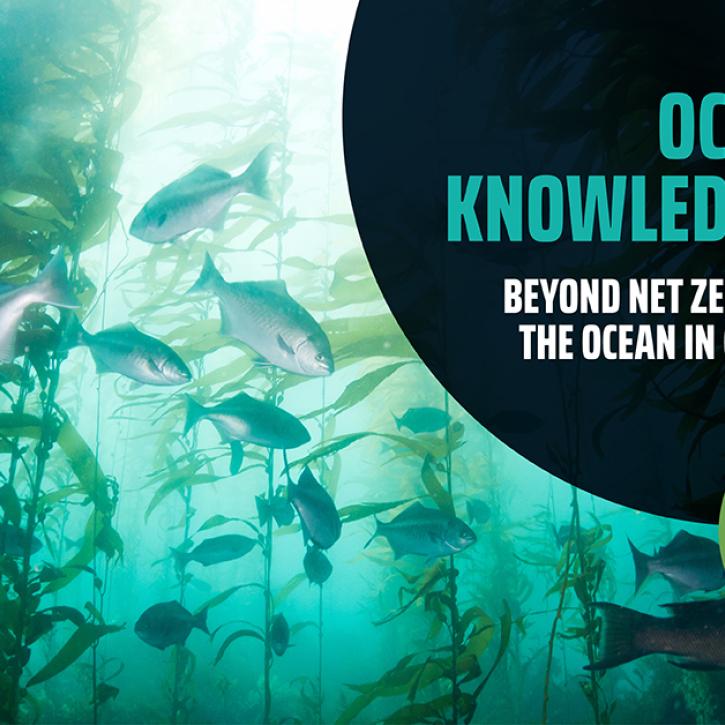 Oceans of Knowledge 2023