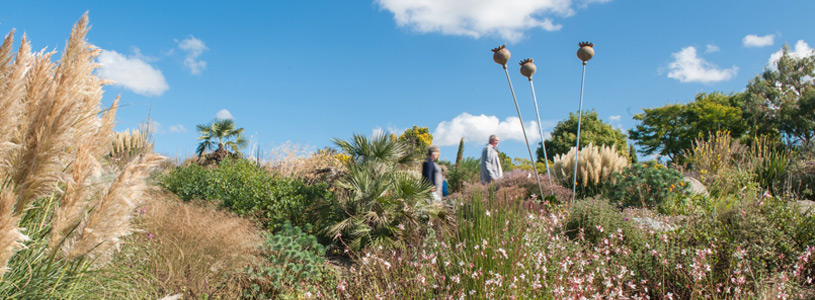 Gardening in a Changing Climate Image