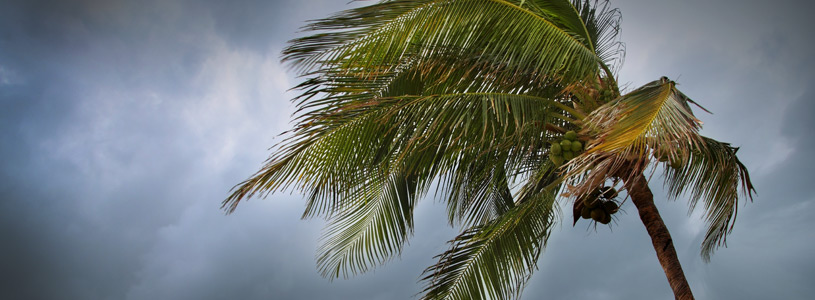 Tropical Cyclones Image