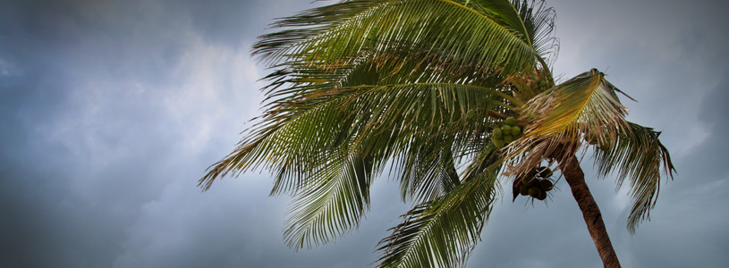 Tropical Cyclones Image