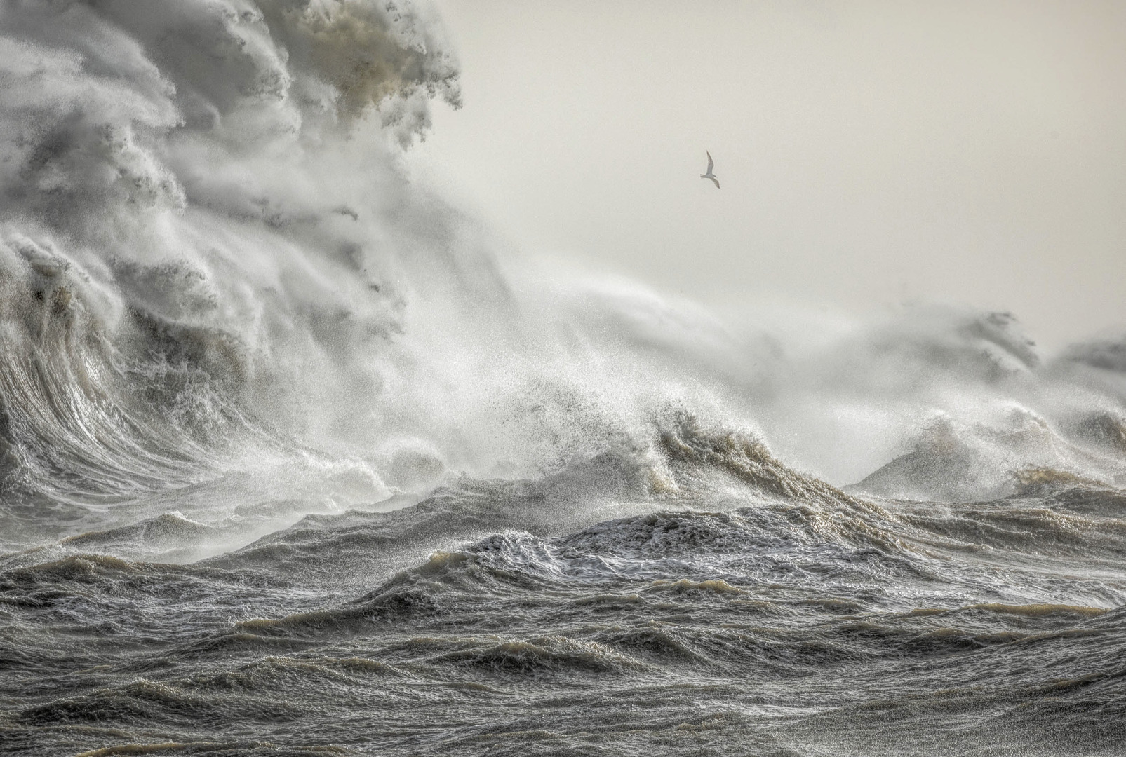 The Wrath of Eleanor by Bill Brooks