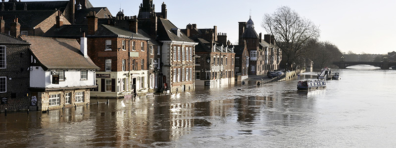 banner|Climate change