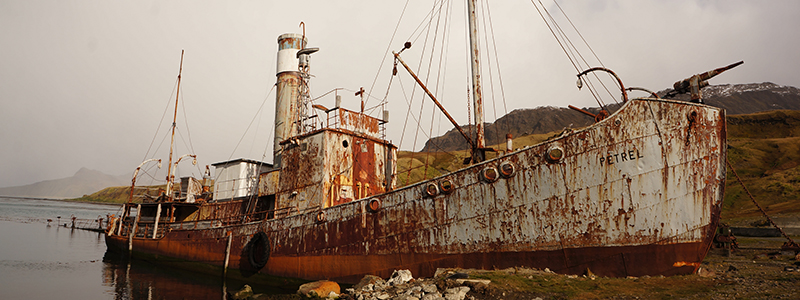 uncovering_observations_from_a_whaling_wreck_in_baffin_bay._banner
