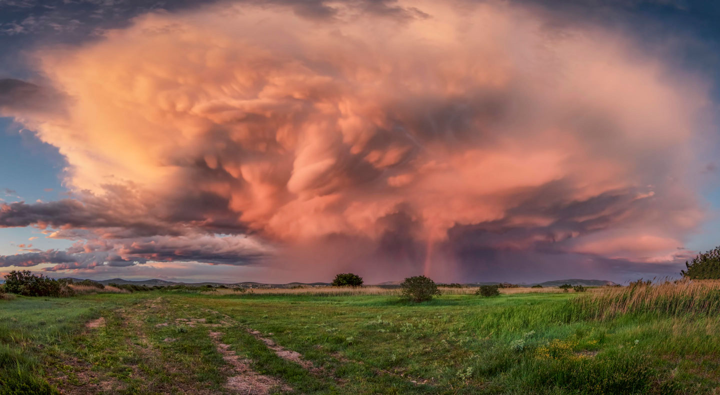 Cell with rainbow © Šime Barešić