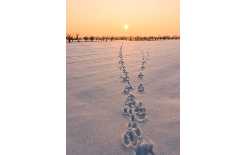 Winter Sunset © Ivica Brlić