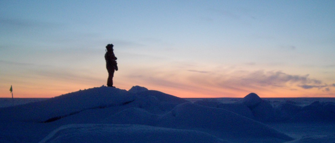 VIRTUAL MEETING | MOSAiC : A Year In The Arctic Sea Ice