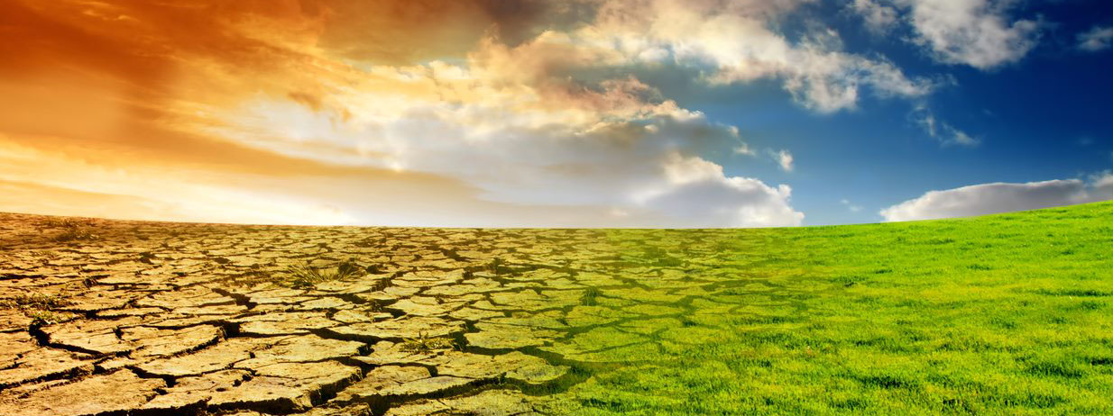 VIRTUAL MEETING | Understanding The Weather of 2020