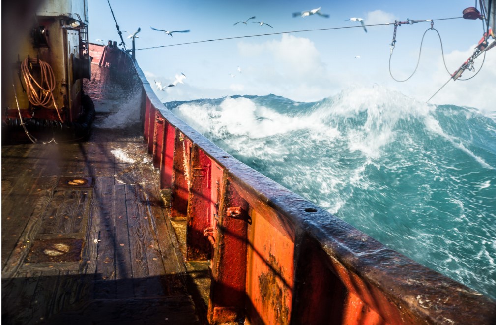 Fishing at sea