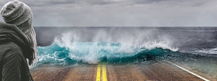 VIRTUAL MEETING | Health and Climate Change: The health emergency