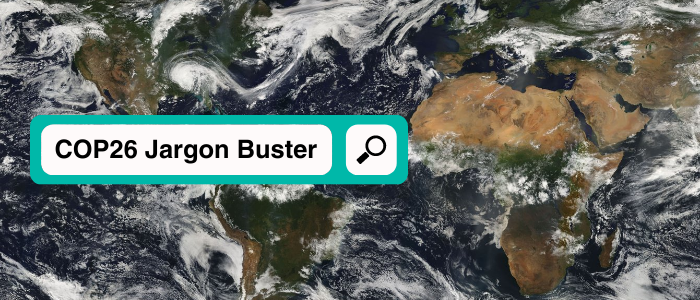 COP26 jargon buster web search