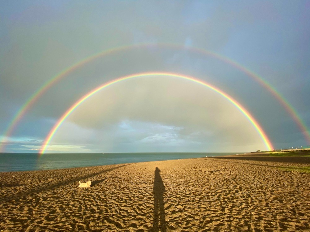 Between Showers by Susan Kyne Andrews