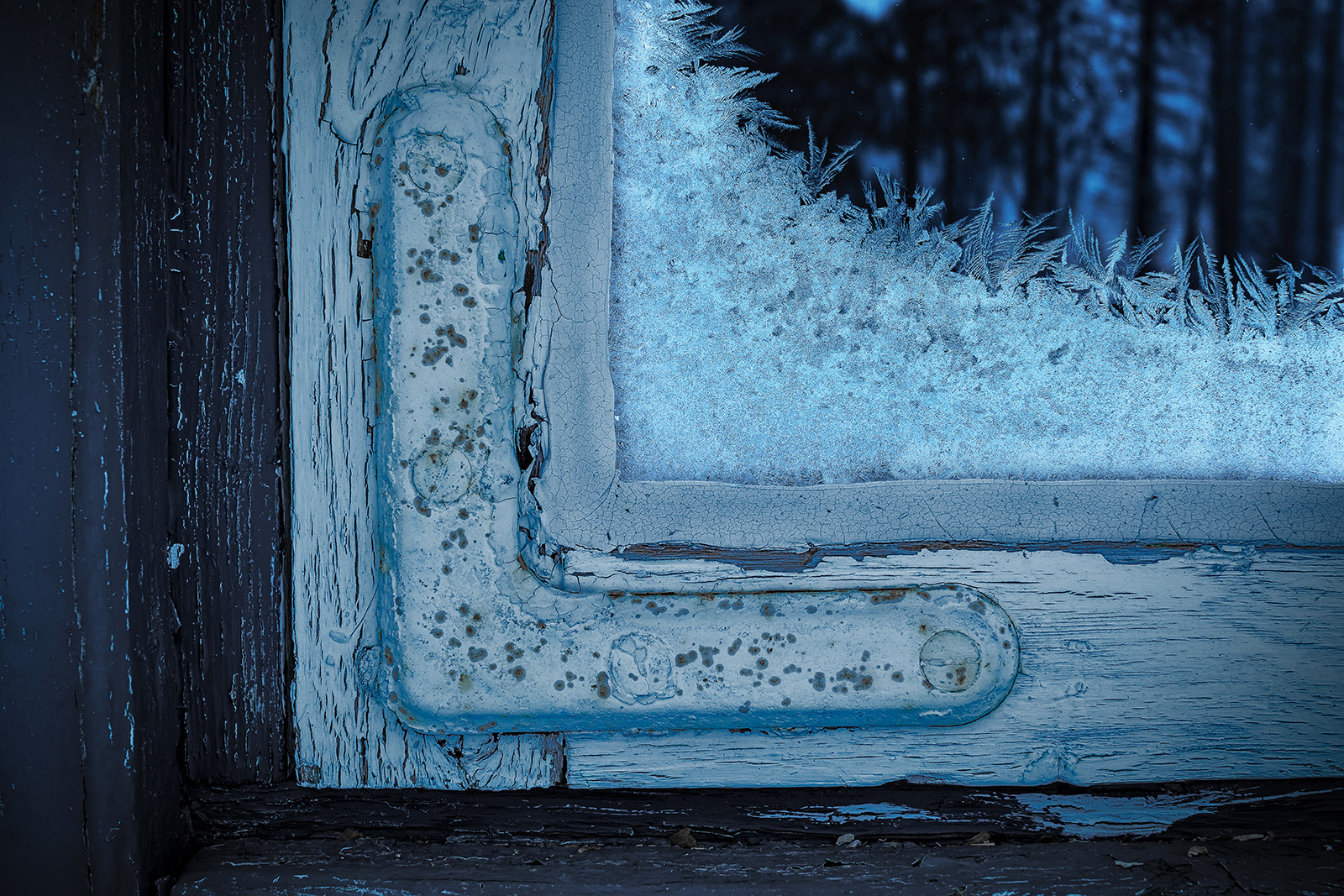 Winter's Icy Grip by Felipe Martin Menzella