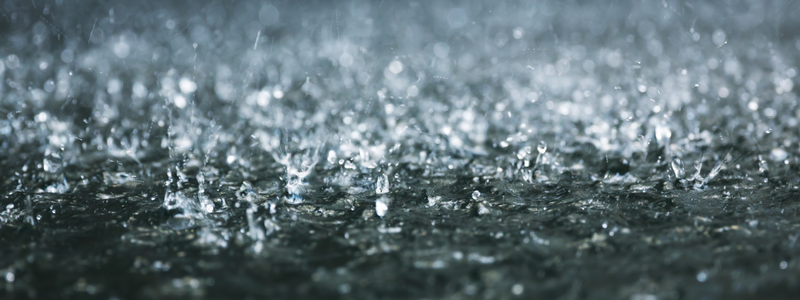 Heavy Rain