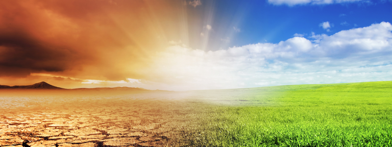 Image in 2 halves with dry ground and orange sky on one side and green grass and blue sky on the other