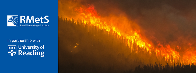 Image of a wildfire in a forest