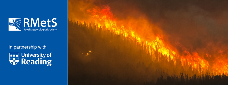 Image of a wildfire in a forest 