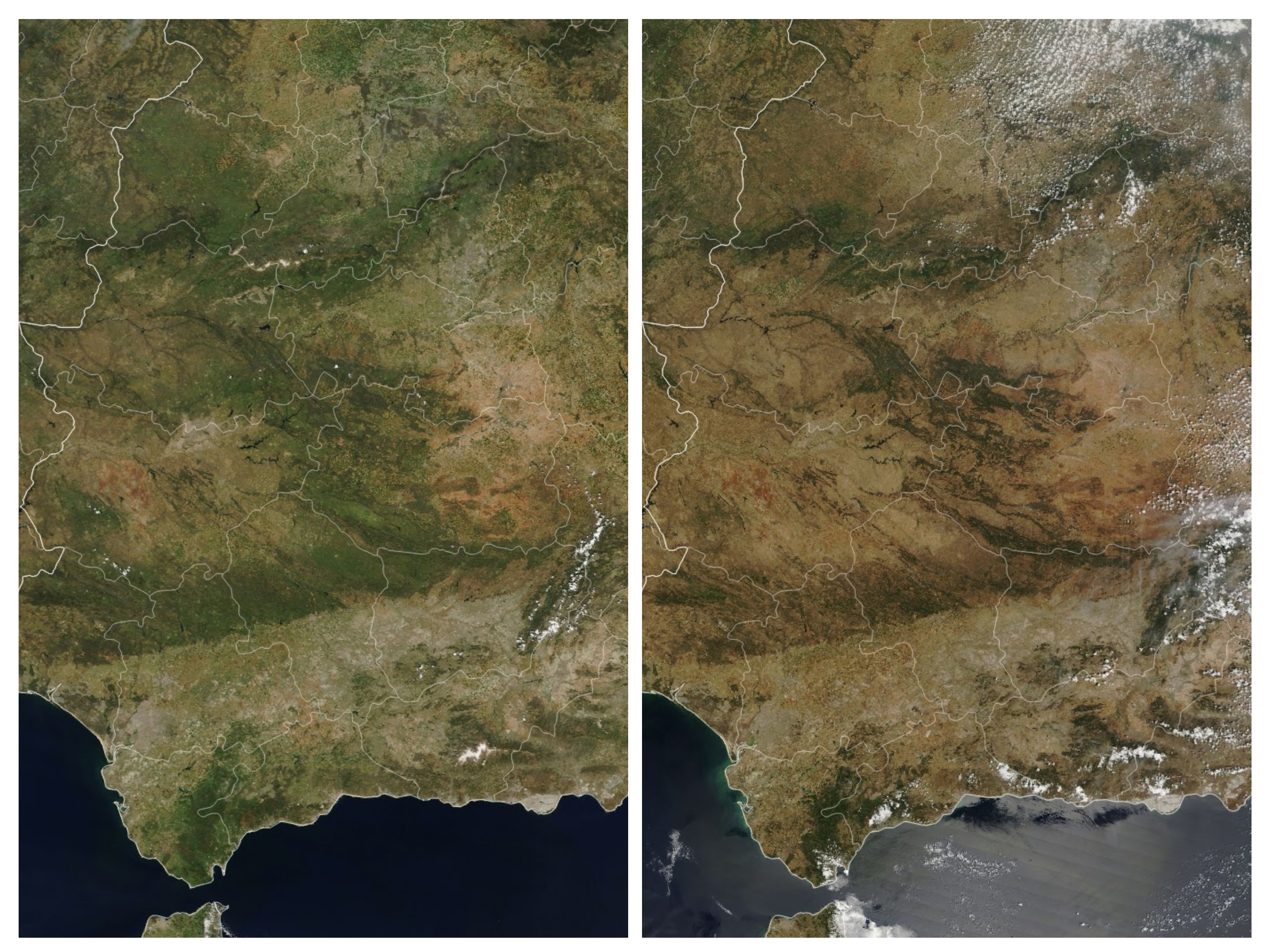 NASA’s Terra satellite shows where green vegetation in May 2022 (left) turned brown by May 2023 (right). The drought dried up reservoirs, parched olive groves, and led to water restrictions.