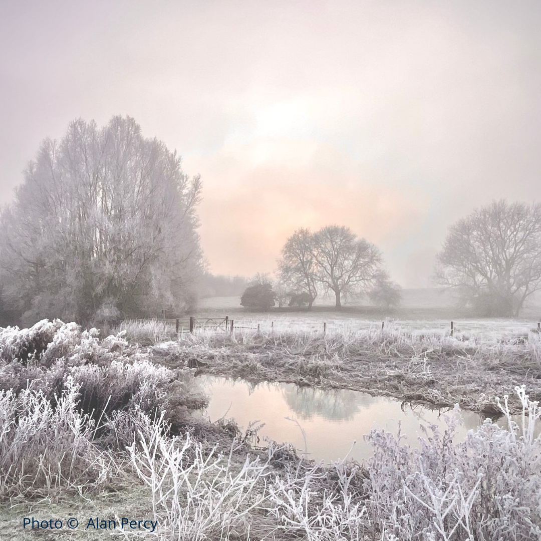 Frozen silence by Alan Percy