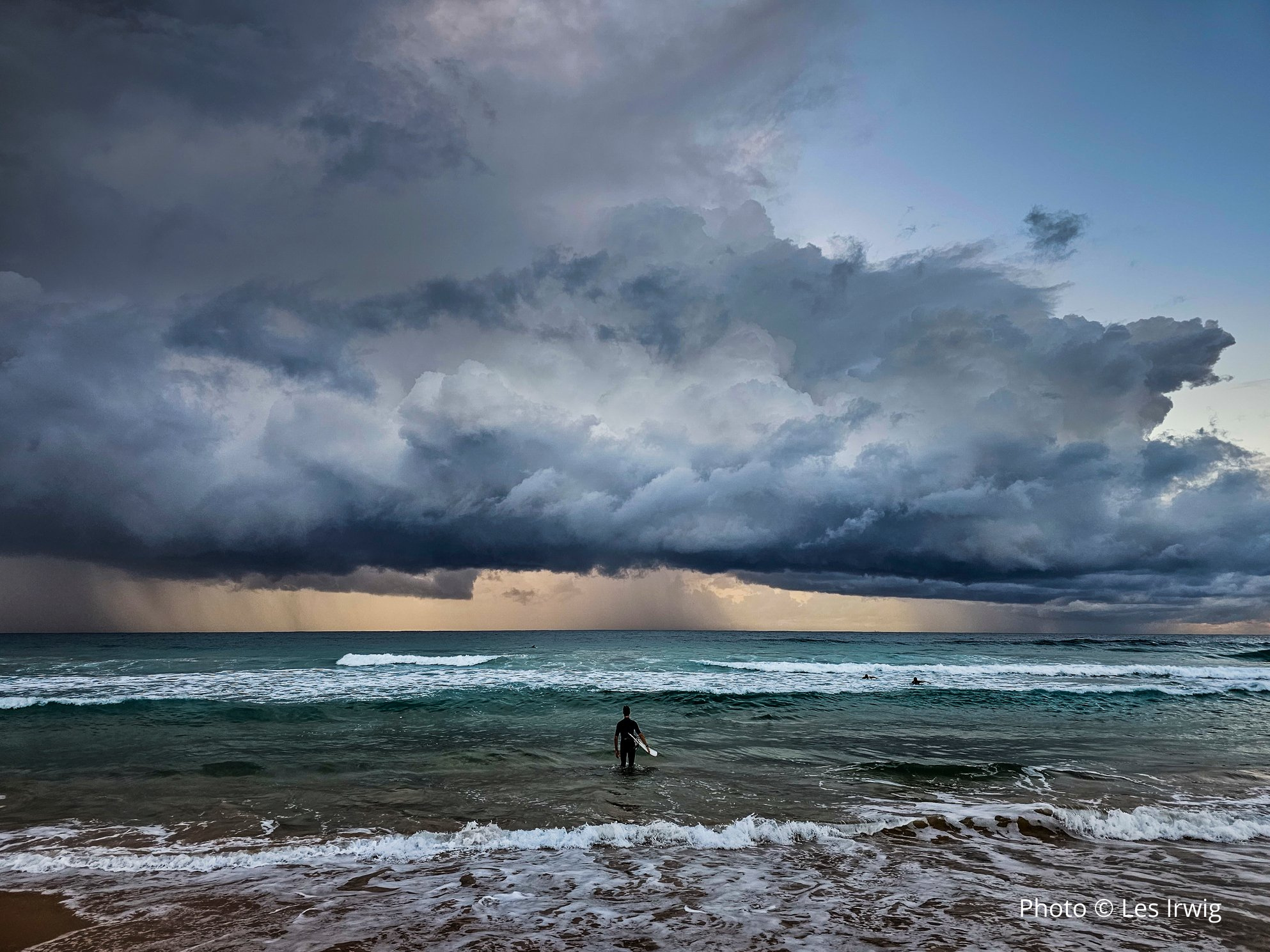 Braving the Storm by Les Irwig