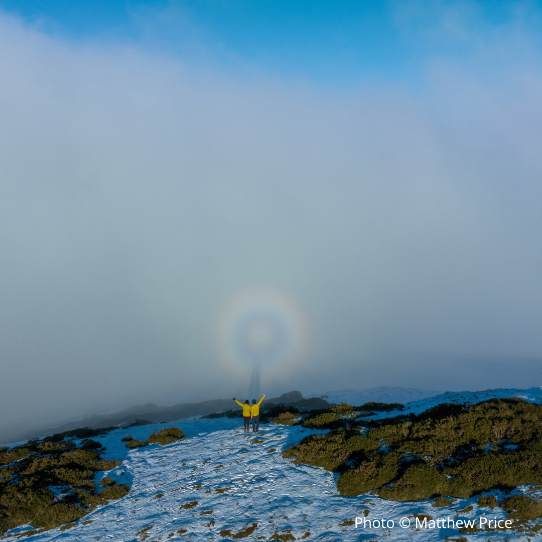 Sharing a Broken Spectre by Matthew Price