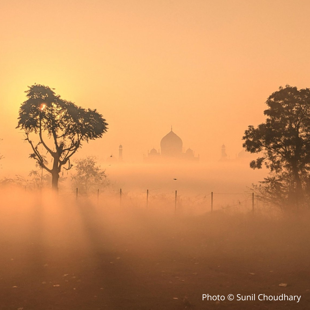 The Rising Taj by Sunil Choudhary