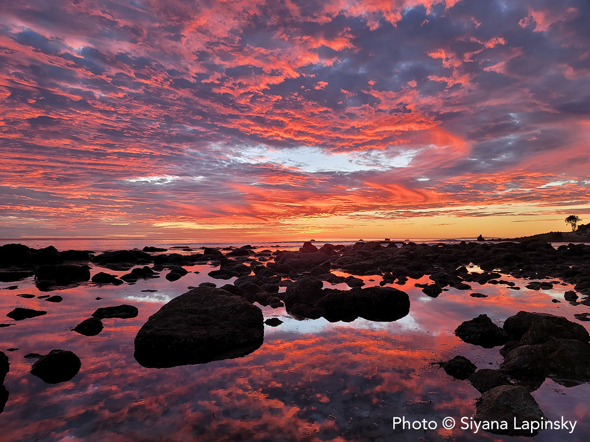 Reflections over the Pacific Ocean