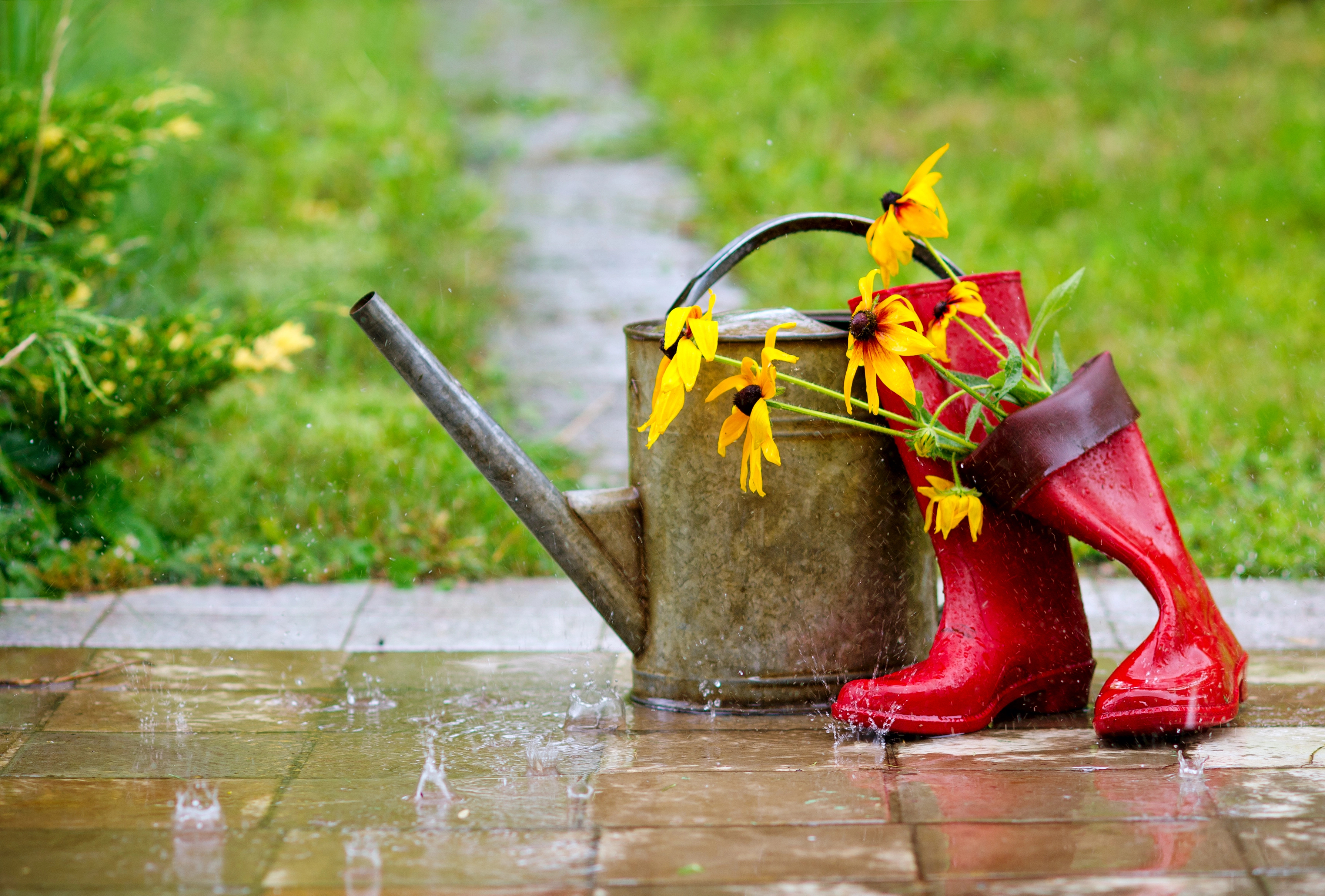 Watering can in the rain