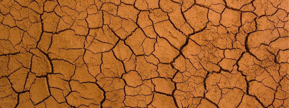 Image of cracked land
