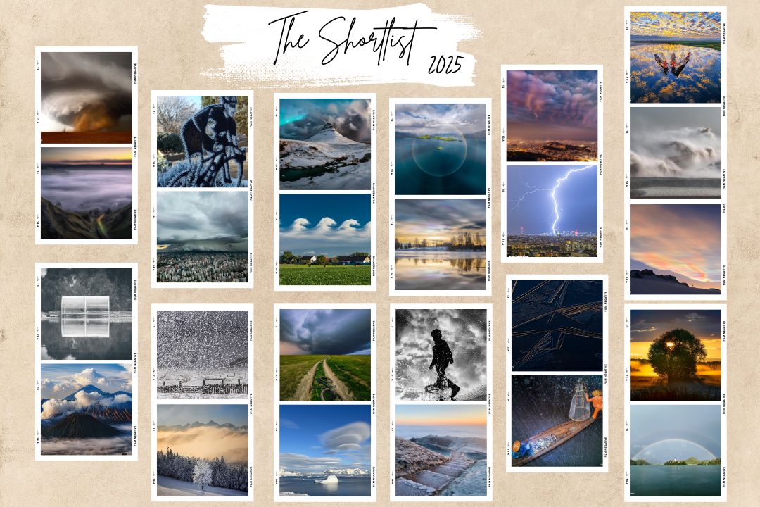 Collage of the 25 images on the shortlist