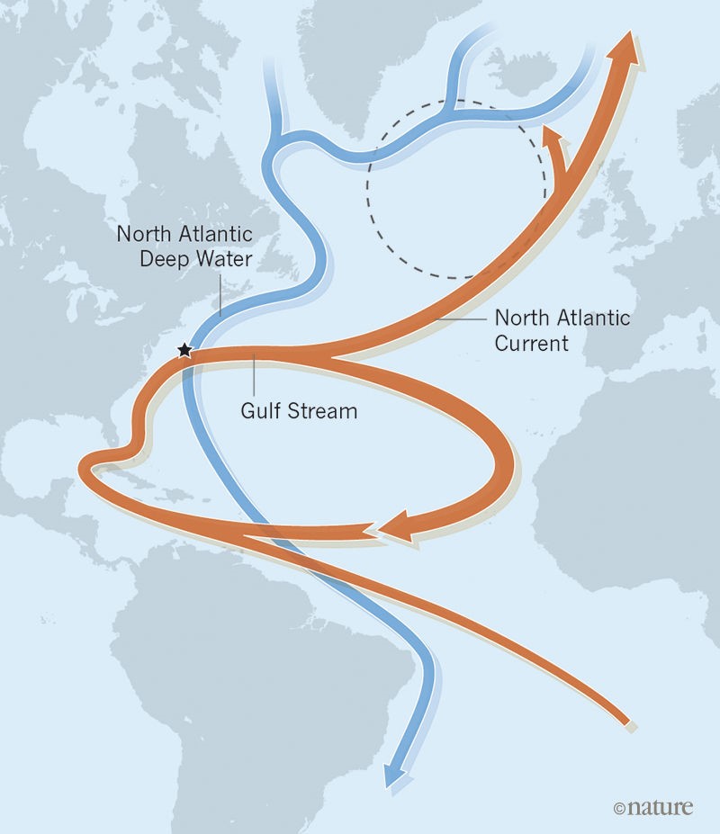 The Atlantic meridional overturning circulation (AMOC) and the subpolar gyre