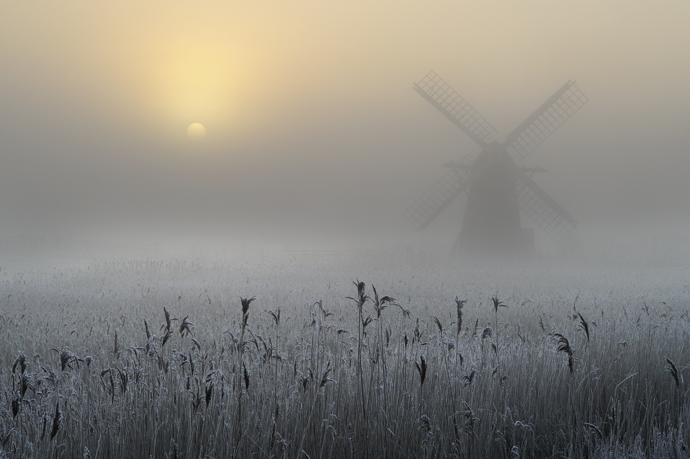 Taken in Suffolk at Herringfleet Mill during a cold spell in February 2016