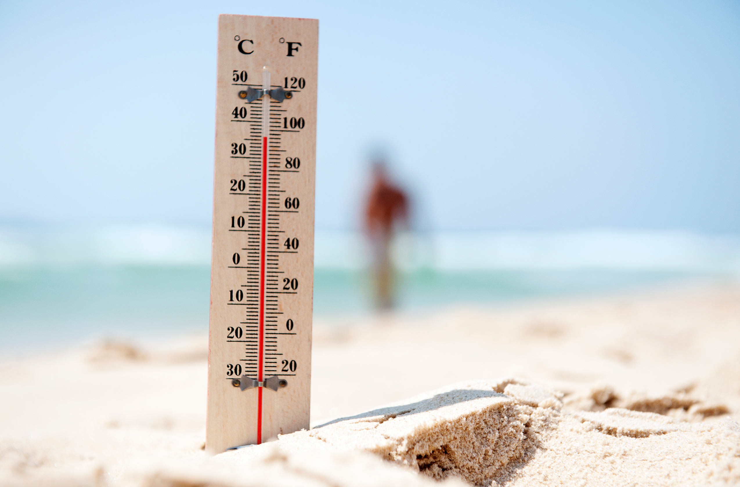 The UK summer of 2019 had quite high temperatures