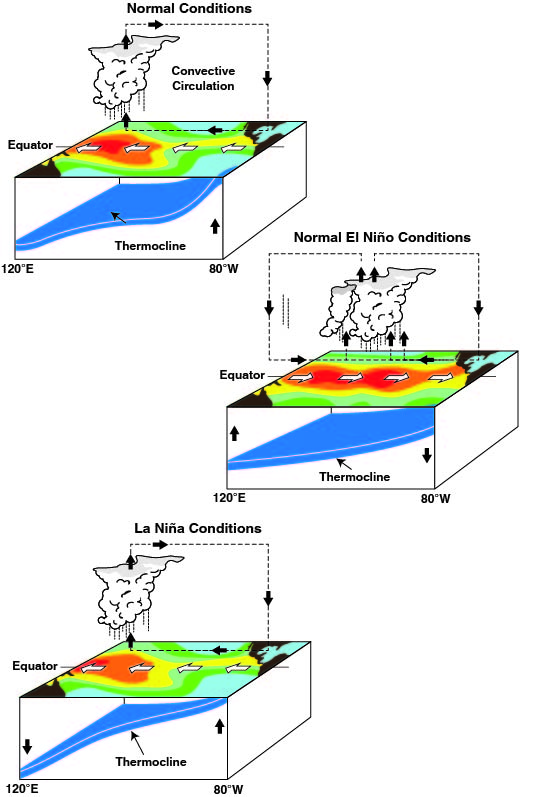 El Niño Southern Oscillation