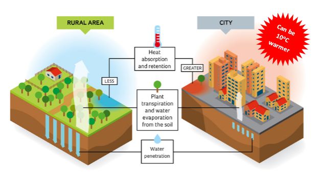 urban v rural