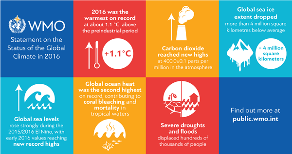 WMO summary Infographic (source: WMO)