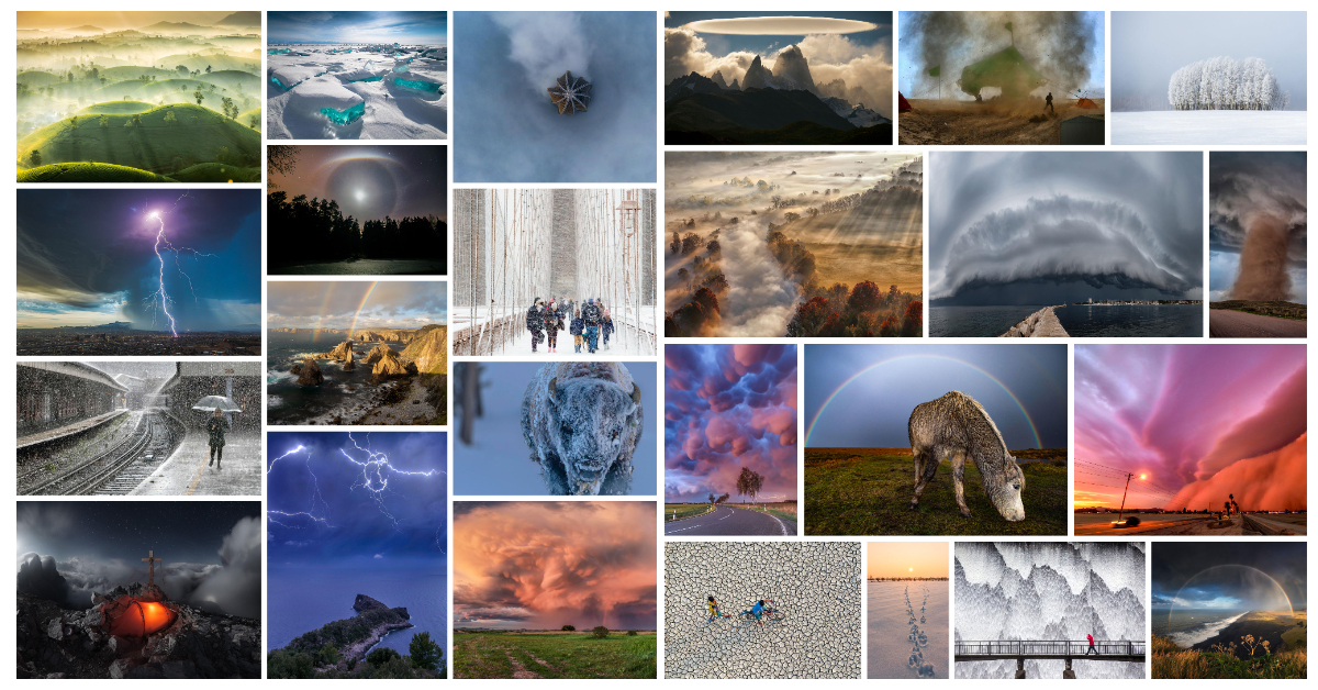 Collage Collage