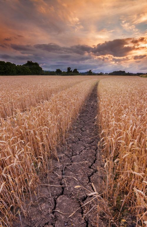 drought in the uk case study