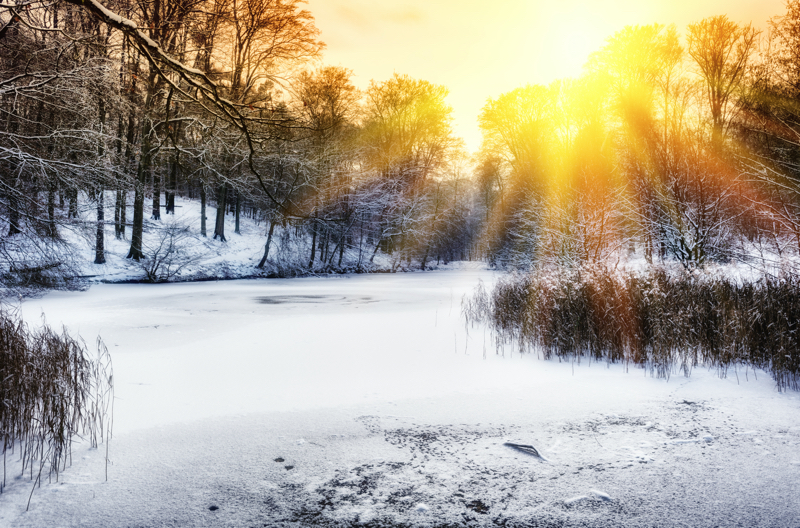 frozen pond