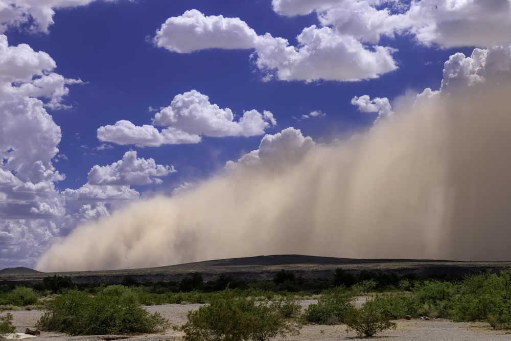 Haboob