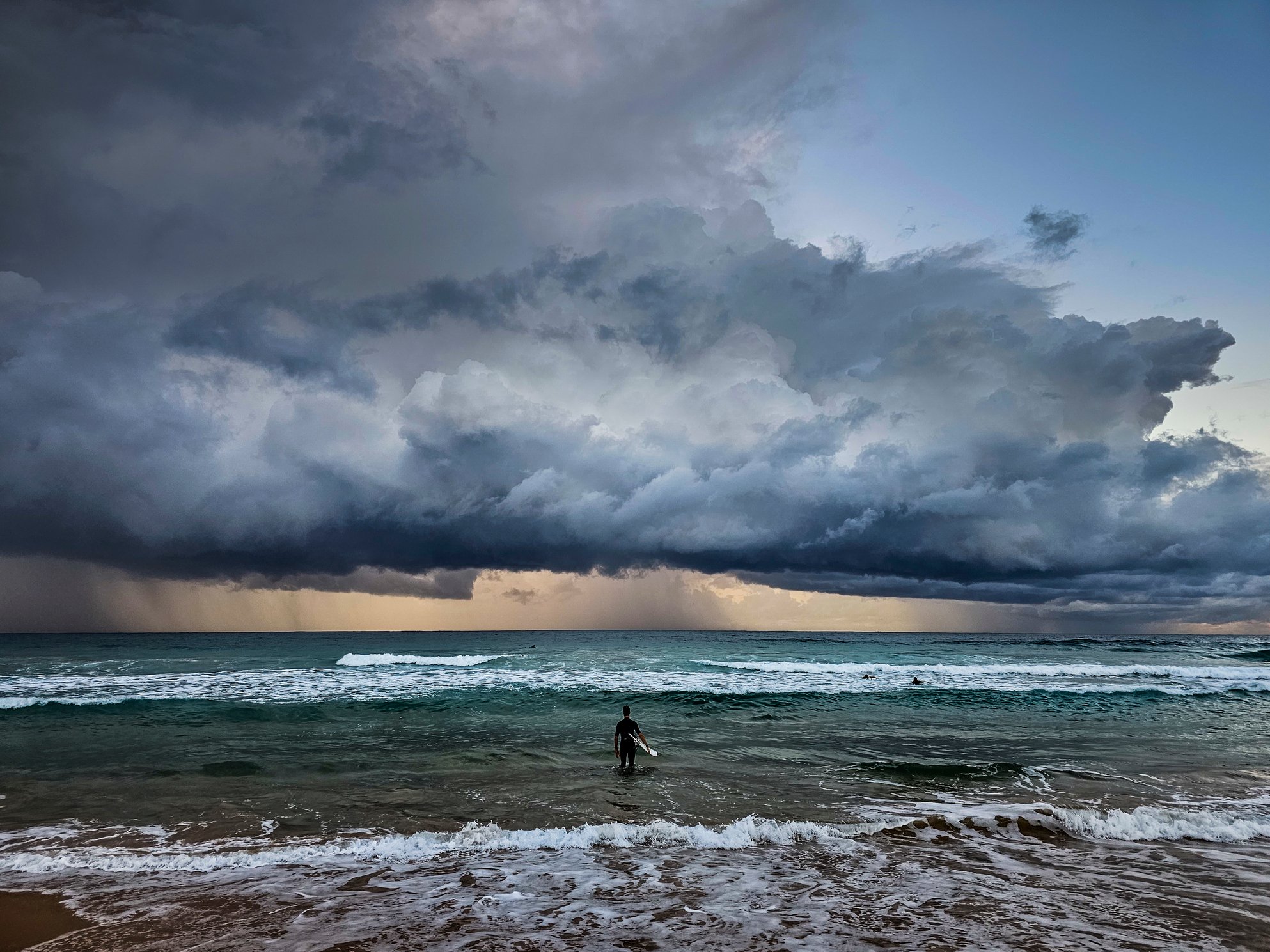Braving the Storm © Les Irwig