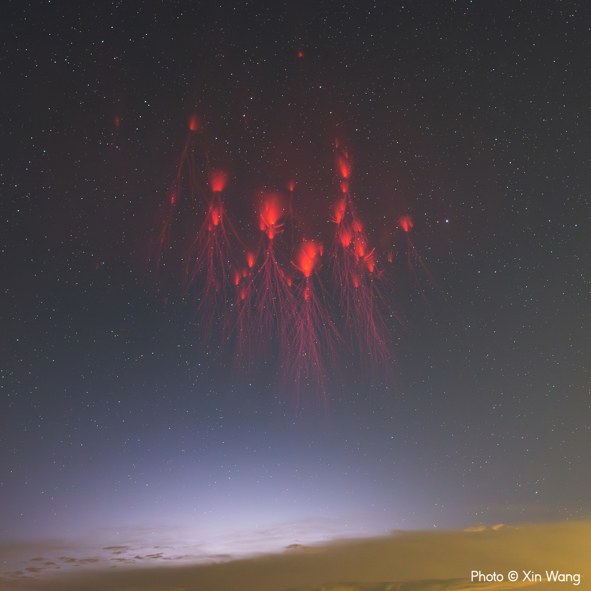 Sprites Dancing in the Dark Night, Xin Wang