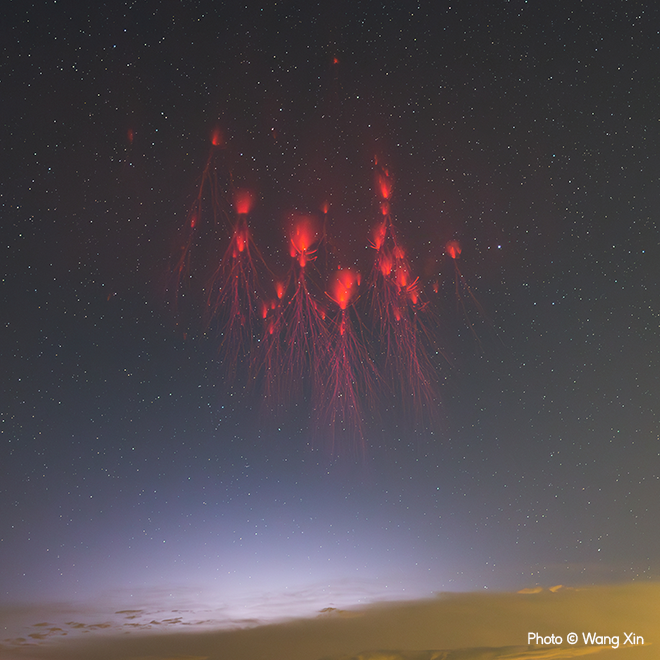 Sprites Dancing in the Dark Night by Wang Xin