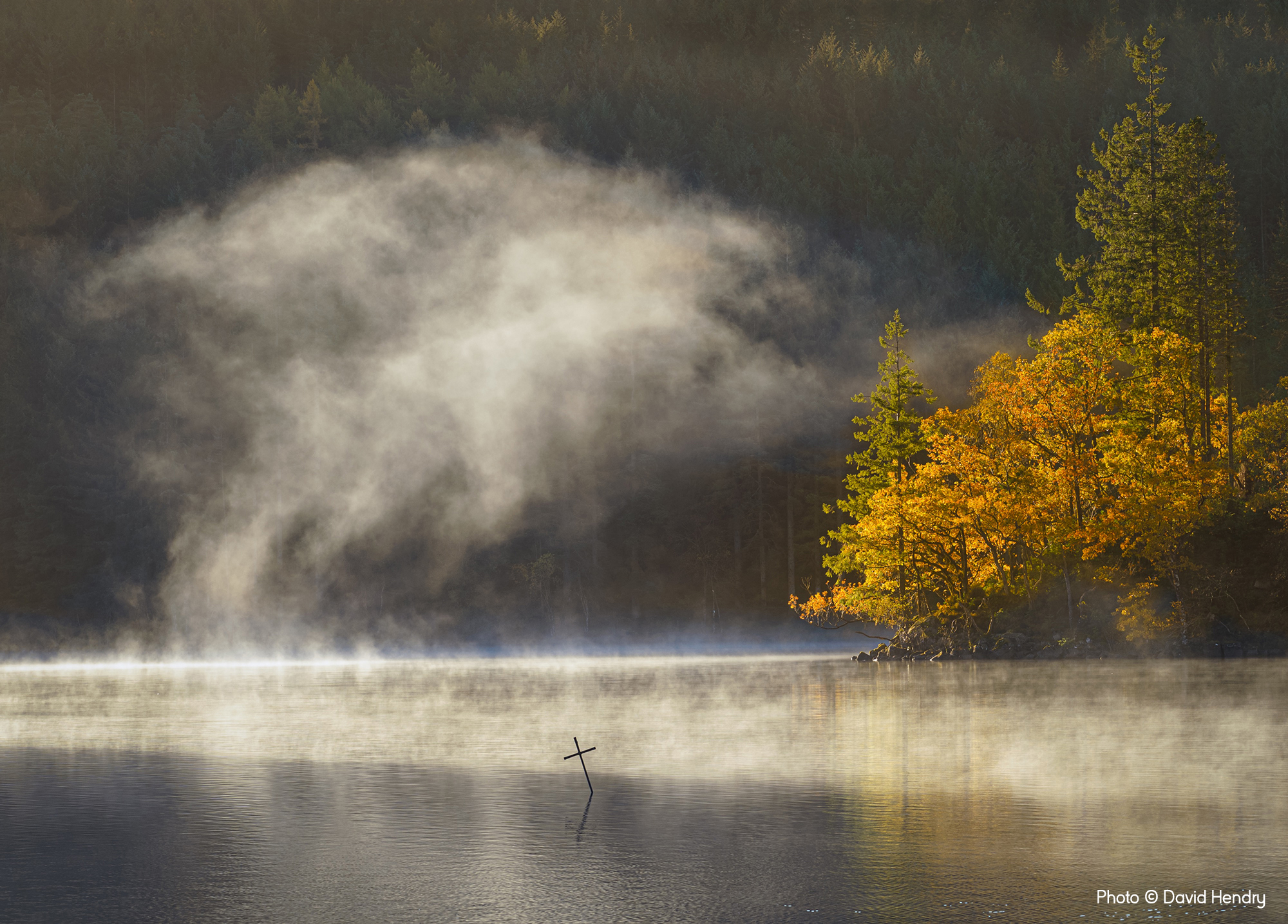Morning Fog, David Hendry