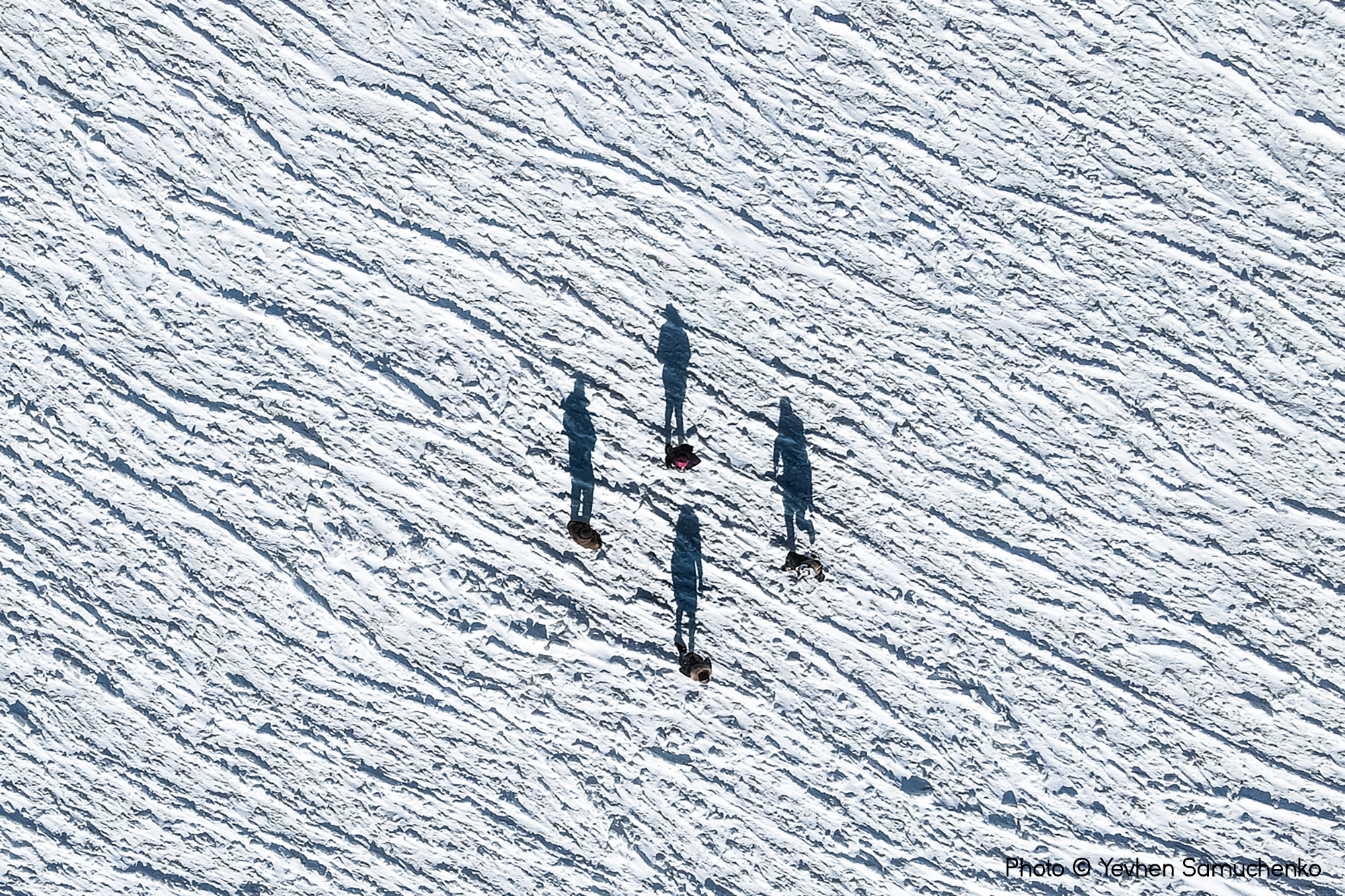 Frozen Shadows, Yevhen Samuchenko