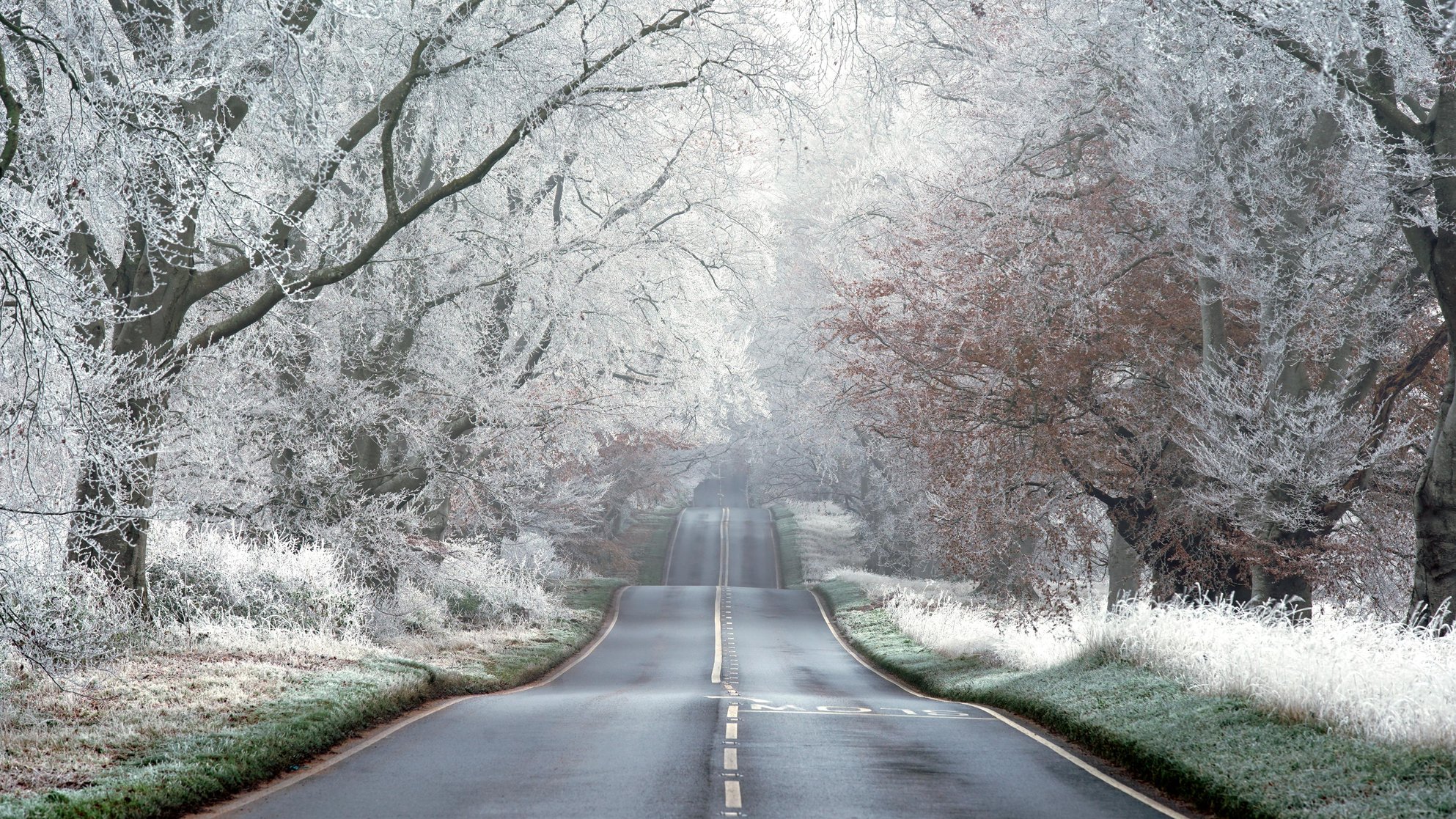 Frosty Avenue - Jenifer Bausili Lopez