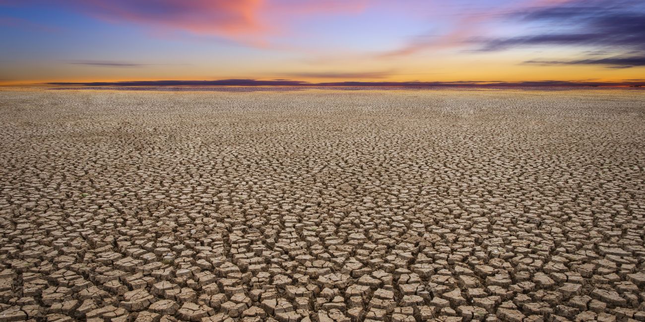 Barren, dry, cracked earth stretches to the horizon